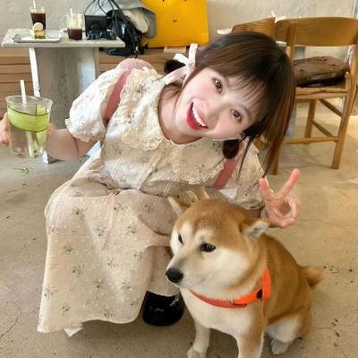 春曲丽影